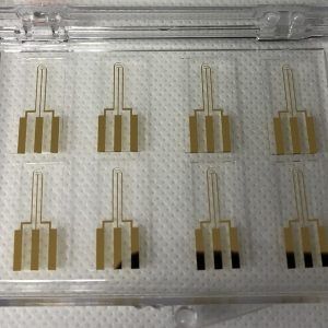 Three Probe Electrodes