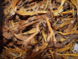 Jivanti Dry Roots