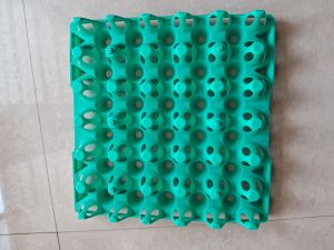 30 cavite commercial egg tray