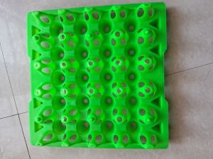 30 cavity plastic egg trays