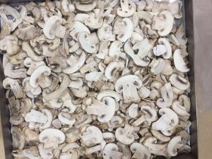 Freeze Dried Button Mushroom