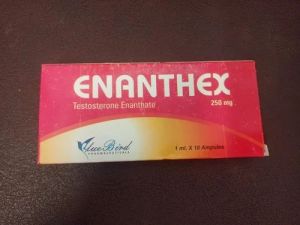 Testosterone Enanthat 250mg Tablet