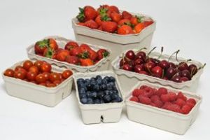 Fruits Punnets Tray