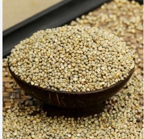 White Pearl Millets