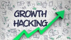 Growth Hacking Service