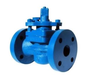 Plug Valve