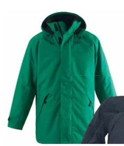Winter Polyester Jacket