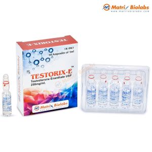 Testosterone Enanthate 250 (Testorix-E)