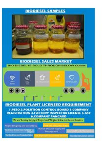 biodiesel production plant