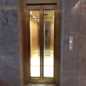 automatic door elevator