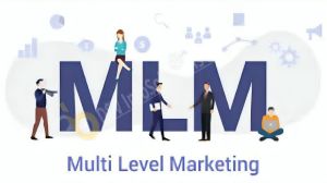 mlm software development service