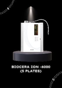 alkonic biocera ion 6000 at white water ionizer