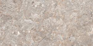 Lizard Natural Glossy Finish Seamless Collection PGVT Vitrified Tiles