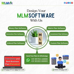 mlm plan software development service