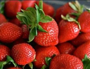 Frozen Strawberry Fruit