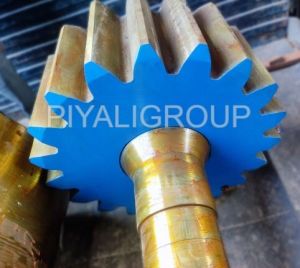 Stainless Steel Kiln Pinion Complete Assembly, For Industrial- Piyali Group, India