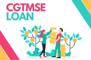 CGTMSE Loan Service