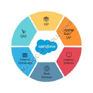Salesforce Services