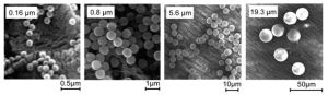 Polymer Particles Cd bioparticles