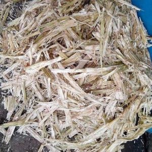 Waste Sugarcane Bagasse