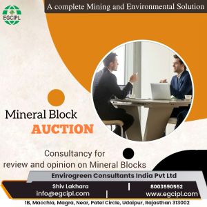 Consultancy for Mineral Block Auction