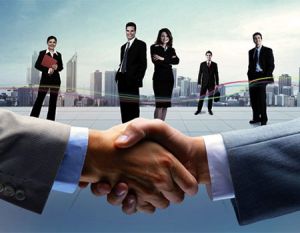 placement consultant