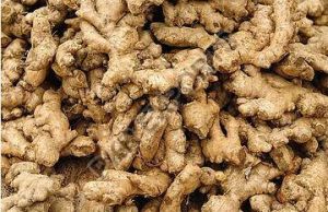 dried-ginger