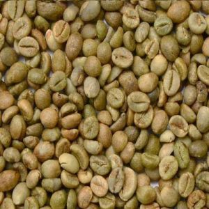 B Grade Robusta Cherry Coffee Beans