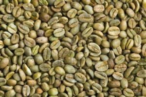C Grade Arabica Parchment Coffee Beans