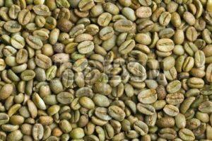 Green Arabica Plantation C Grade Coffee Beans