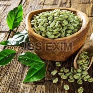Green Robusta Cherry Bulk Coffee Beans
