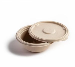 biodegradable bowl
