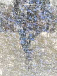 Honey Blue Granite Slab