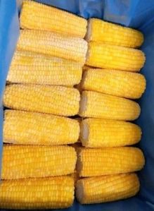 Frozen Corn On Cobs