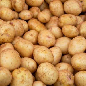 Fresh Agra Potato