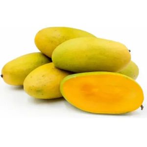 Fresh Dasheri Mangoes