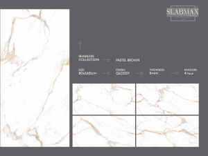 Pastel Brown Glossy Finish Seamless Collection Vitrified Tiles