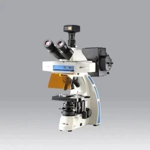 Classic FL Trinocular Fluorescence Microscope Model