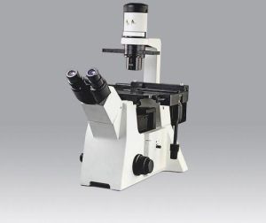 Victory FL Inverted Fluorescence Microscope
