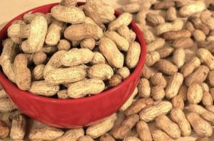 Dried Shelled Groundnuts