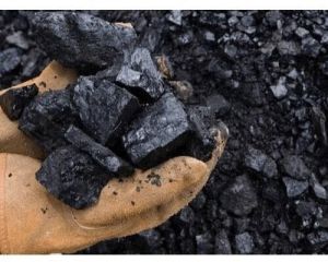 Margherita Coal