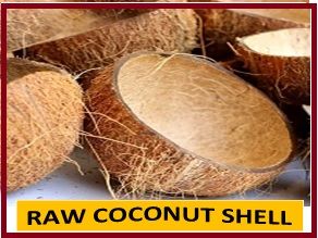 raw coconut shell