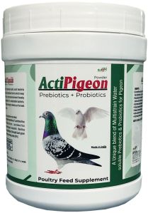 (Prebiotics &amp;amp; Probiotics for Pigeon) (Acti-Pigeon 500 Gm.)