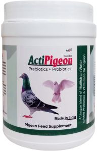 (Prebiotics & Probiotics for Pigeon) (Acti-Pigeon 1 Kg.)