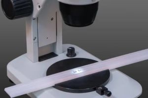 Cognep Binocular Research Microscope