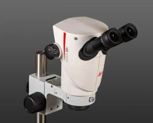 Vision Stereo Diamond Microscope