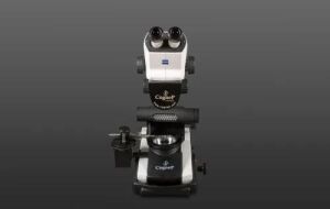 Zeiss Stereo Zoom Microscope