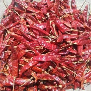 Guntur Dry Red Chilli