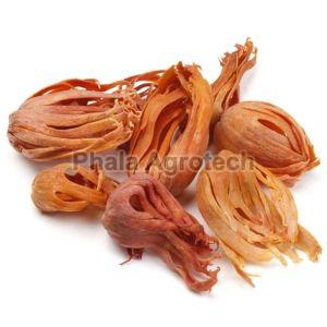 Light Brown Dried Mace Spice