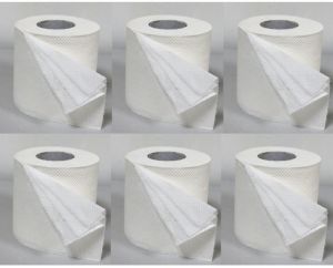 toilet paper roll